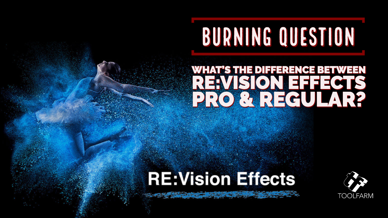 What’s the difference between RE:Vision Effects Pro & Regular p