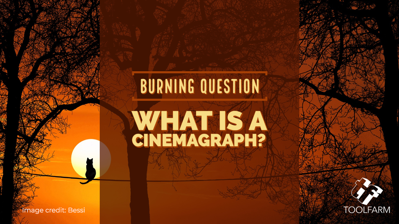 Burning Question: What is a Cinemagraph and How Do I Create One? Image credit: Bessi